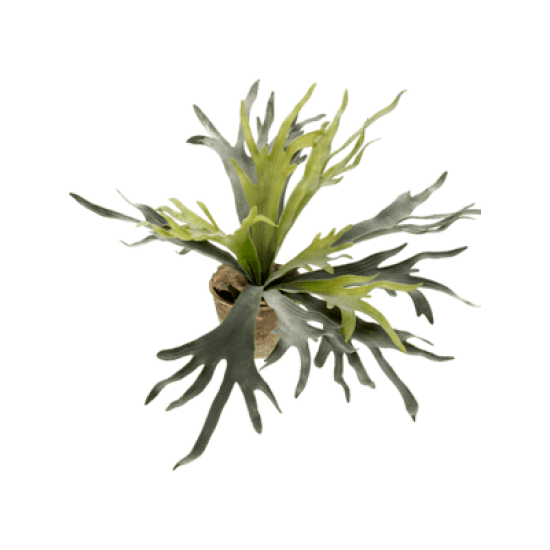 Kunstplantenpakket Rust 80001